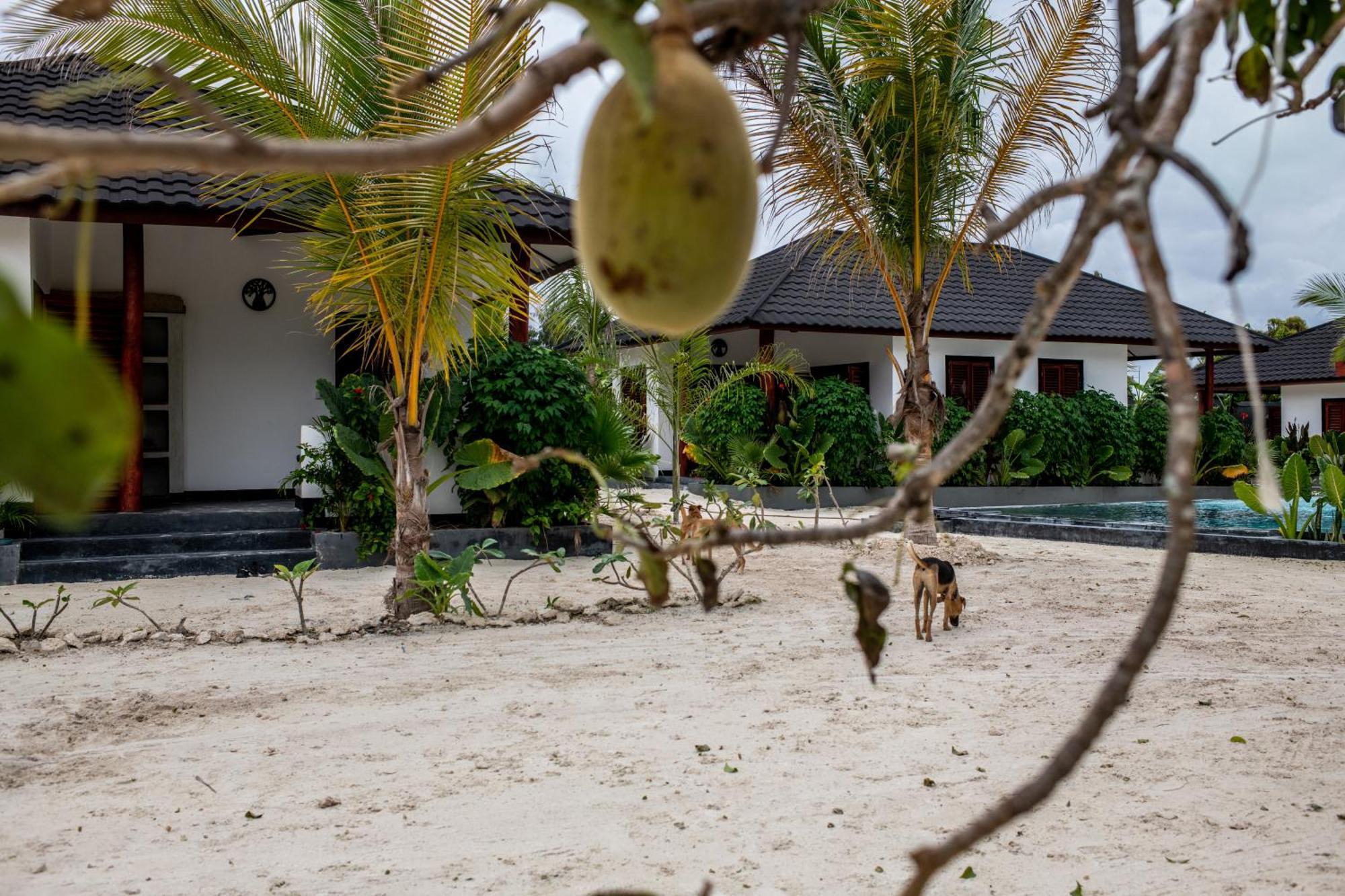 Baobab Bungalows Jambiani  Exterior foto