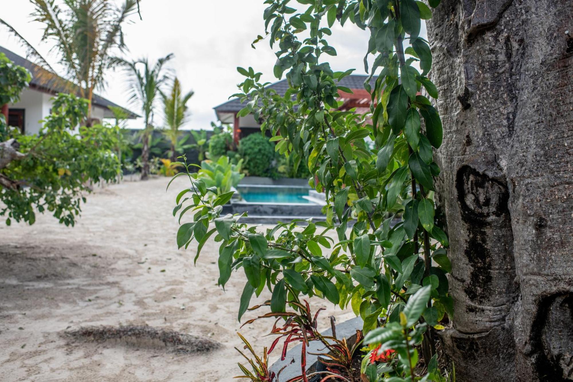 Baobab Bungalows Jambiani  Exterior foto