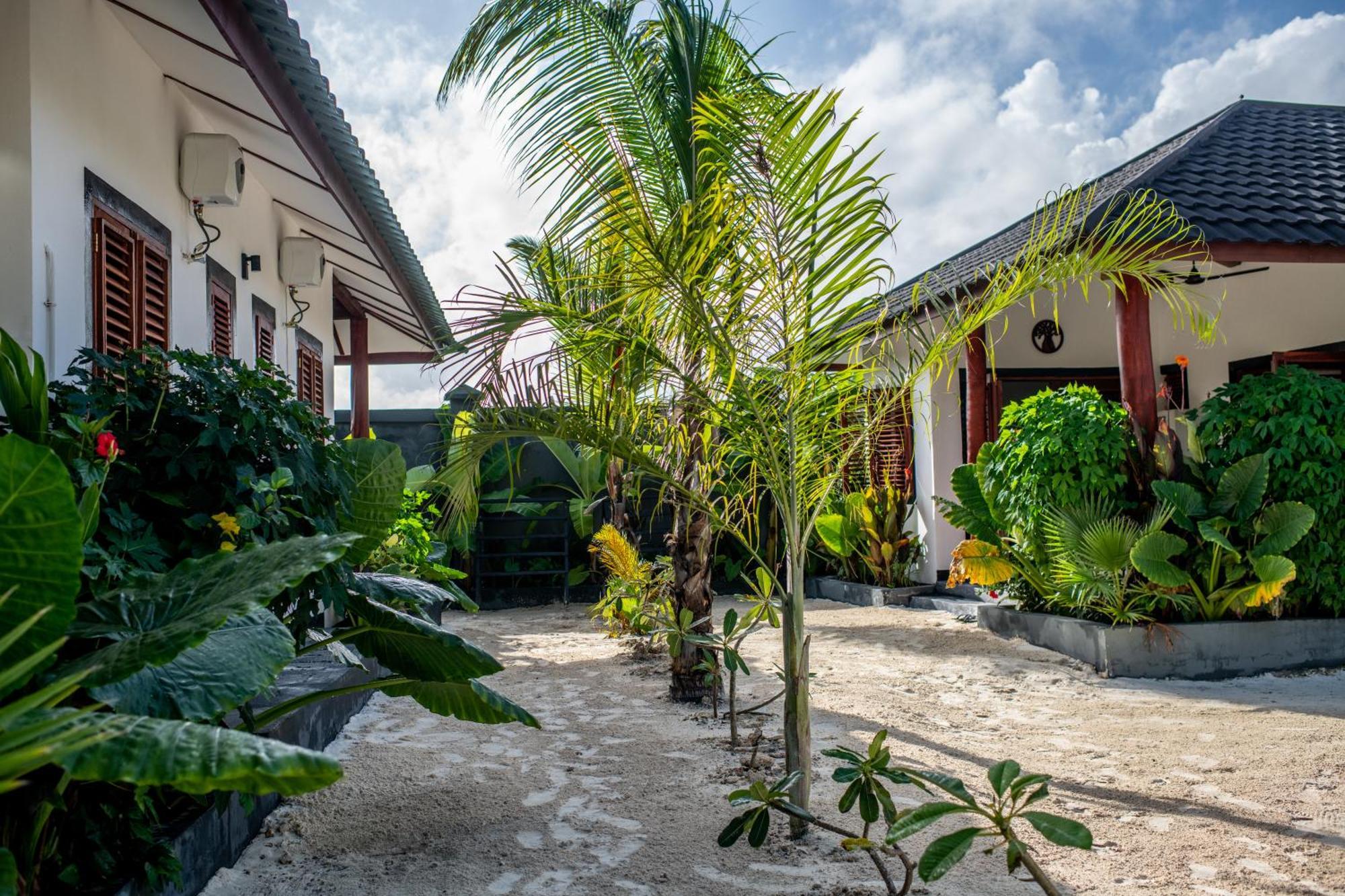 Baobab Bungalows Jambiani  Exterior foto